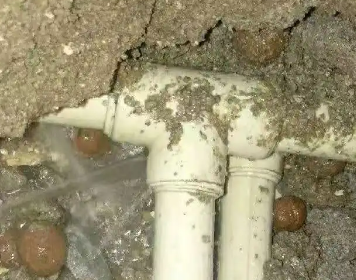 白塔测漏水多少钱