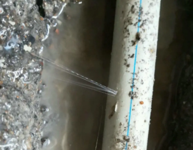 白塔测漏水哪家好