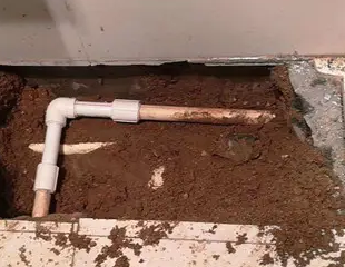 白塔测漏水哪家好