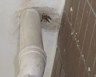 白塔漏水检测哪家好